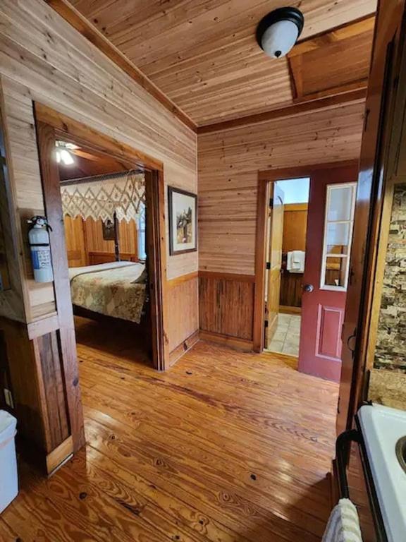 Cozy Cabin: River View With Hot Tub Dahlonega Exterior photo